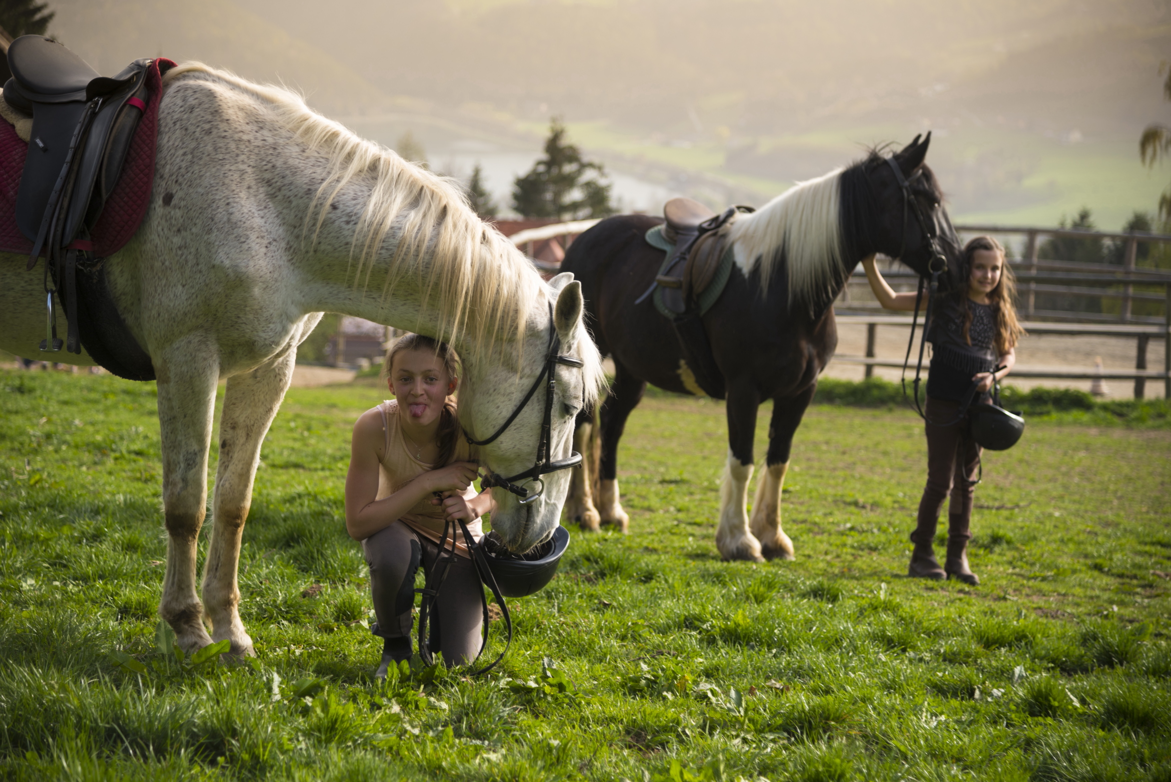 Ponys am Michlhof